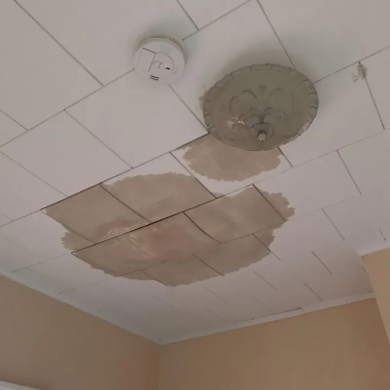Ceiling Water Damage Repair in Washington County, TN