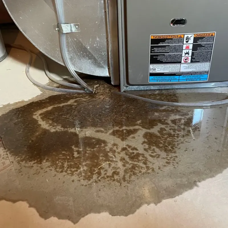 Pipe Burst and Leak Restoration in Washington County, TN