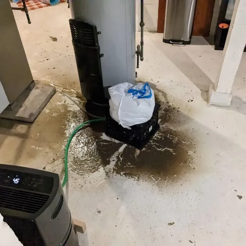 Sewage Backup Cleanup Service in Washington County, TN